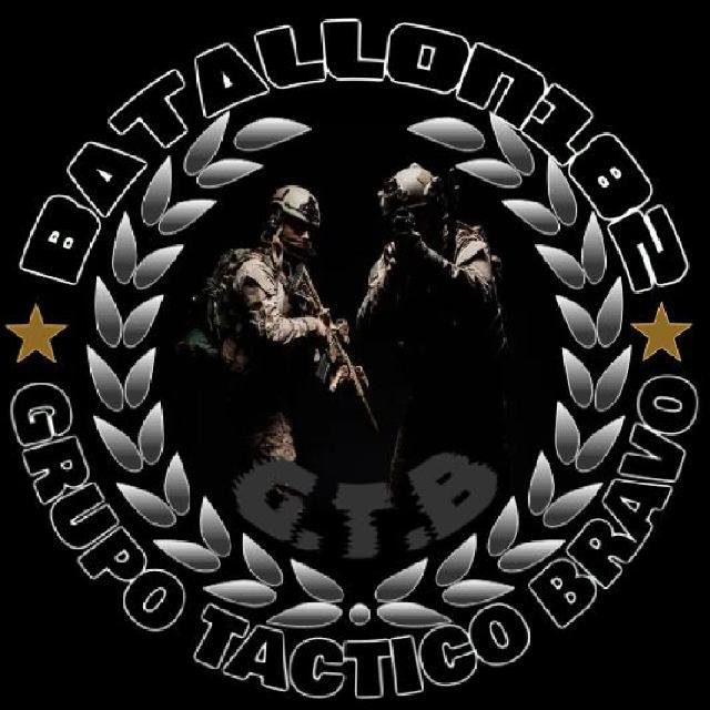 Logo BRAVO]